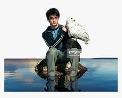 What is harry potter's owl's name? Harrypotter Harry Potter Danielradcliffe Hedwig Harry Potter Pet Owl Name Hd Png Download Kindpng