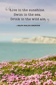 Pin On Our Favorite Quotes