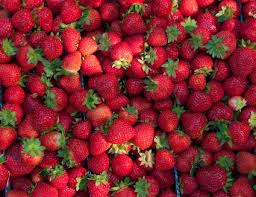 Strawberry Varieties Explained