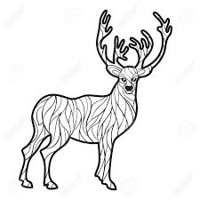 De kleurplaat wordt verspreid onder de kinderen van de basisscholen. Vector Zwart Wit Hand Getrokken Illustratie Van Herten Kleurplaat Met Hoge Details Geisoleerd Op Een Witte Achtergrond Boho Stijl Ontwerp Voor T Shirt Wenskaart Of Poster Royalty Vrije Cliparts Vectoren En Stock Illustratie Image
