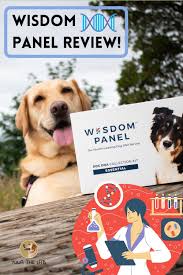 Pin On Animals