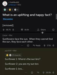 Convos blooming like a pretty flower: You Re Like A Ray Of Sunshine To Me Bro R Wholesomememes Wholesome Memes Know Your Meme