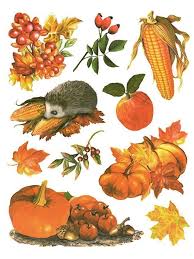 Dpr Fensterbild Set 10 Tlg Herbst Herbstfruchte Kurbis Igel Hagebutte Zweig Blatter Laub Fenstersticker Herbstdeko Herbstdeko Eingangsbereich Tisch Basteln In 2020 Fall Fruits Picture Windows Rooster