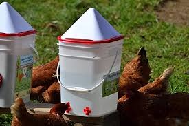 Us 25 Horizontal Side Mount Chicken Waterer M Sheinv Com Chicken Waterer Chickens Chickens Backyard