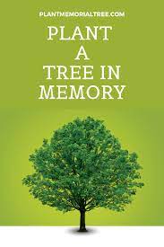 Express Your Love And Condolences With A Tree Planting In Our National Forest Includes A Keepsake Personalized Mailed Card Memory Tree Trees To Plant Tree
