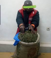 Street level dealers buy from or directly employed by a higher level drug dealer who in turn buys from or is employed by a higher level dealer and so on. Two Drug Dealers Arrested In Kigali Taarifa Rwanda