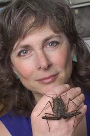 Newsletter of the Animal Behavior Society