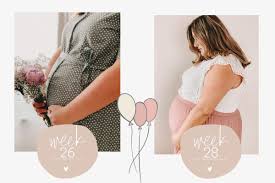 Ab wann sieht man denn den babybauch? Mein Babybauch Plus Size Edition Schwanger Nicht Nur Dick Theodora Flipper