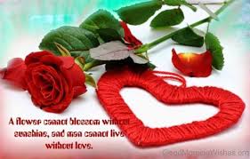 Morning is the perfect good morning, beautiful. 92 Good Morning Wishes With Rose