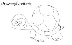 How To Draw A Cartoon Turtle Cartoon Turtle Turtle Drawing Drawings