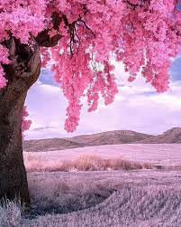 It S All Just So Beautiful Check Us Out Tr Nature Pictures Beautiful Nature Beautiful Landscapes