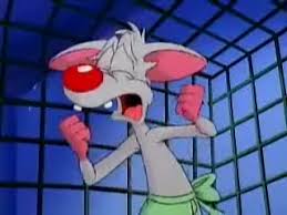 The odd buddies have many strange adventures. Pinky And The Brain Tv Series 1995 1998 Imdb