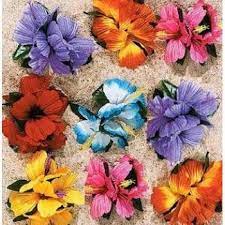 We did not find results for: Hula Girl Flower Lei Hair Clip 12 Pack Wholesale Distributor Http Www Amazon Com Dp B001biqag8 Ref Cm Sw R Pi Dp 6u Flower Clip Hula Girl Flower Hair Clips