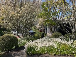 PAUA Architects (@pauaarchitects) • Instagram photos and videos