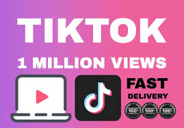 Promote Your Tiktok Video To 1 Million People By Lucasnorbz Fiverr