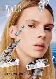 WALD Magazine #4 Cover (Various Covers)