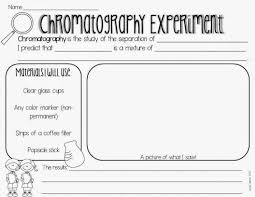 First Grade And Flip Flops Science Day Fun Preschool Worksheets Chemistry Worksheets Elementary Science