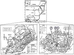 Image result for Voacanga chalotiana