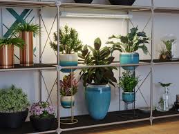 Maybe you would like to learn more about one of these? Good Earth Lighting Grow Light 24 In Plug In Light Bar Under Cabinet Lights In The Under Cabinet Lights Department At Lowes Com