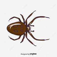 Goodreads helps you keep track of books you want to read. Gambar Laba Laba Beracun Vektor Clipart Laba Laba 3d Tarantula Beracun Png Transparan Clipart Dan File Psd Untuk Unduh Gratis