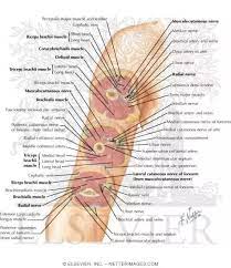 i felt a jolt of electricity during blood draw a week after theres a tingling and less touch sensations on my wrist has a nerve been hit - quora on can a blood draw cause nerve damage