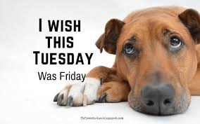 From tuesday being second worse to monday to taco tuesday memes, enjoy these funnies about the second day of the work week! Funny Tuesday Quotes To Be Happy On Tuesday Morning Tuesday Quotes Happy Tuesday Quotes Tuesday Quotes Funny