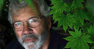 6 more state champion trees crowned in Bismarck