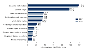 Gva recorded 28,159 firearm injuries in 2018, a 10 percent decrease over 2017. Products Data Briefs Number 355 January 2020