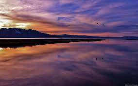 Sfondi Del Desktop Microsoft Windows Windows Wallpaper Microsoft Wallpaper Wallpaper Windows 10