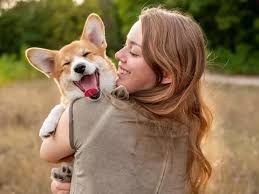 It literally takes a few minutes to call all the vets around you and ask for a quote. Cheapest Dog Breeds In The World Work Money