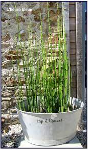 bassine zinc water garden dream garden garden online