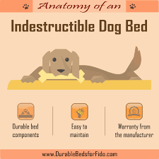 Our best dog beds australia top list is dedicated to helping you find the perfect bed for your canine friend to sleep on! The Anatomy Of An Indestructible Dog Bed