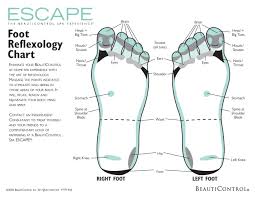 One of the main causes of foot pain is wearing shoes that don't fit. 31 Printable Foot Reflexology Charts Maps á… Templatelab