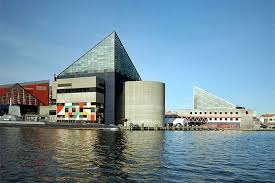 Baltimore Aquarium And Baltimore Orioles And Jerry Sinefeld Baltimore Aquarium Places To Go Places