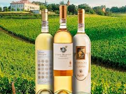 Online sale of italian wines from the best wineries. 5 Most Popular Emilian Wine Appellations Tasteatlas