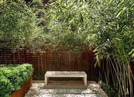 Many home gardeners feel nervous about its ability to grow at an. 18 Beautiful Bamboo Gardens Ideas Ralston Home Design