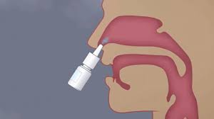 Qnasl nasal spray official prescribing information for healthcare professionals. Coronavirus Uk New Nasal Spray Treatment Causes Rapid Eradication Exbulletin