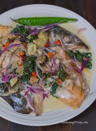 Pin On Feasting Fish