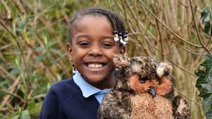 The Big Hoot arrives at an Ipswich school sparking five days of art