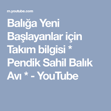 Baliga Yeni Baslayanlar Icin Takim Bilgisi Pendik Sahil Balik Avi Youtube Youtube Sahil Bilgi
