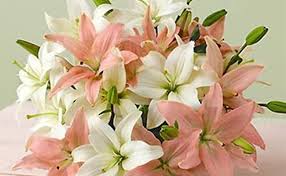 I am at a loss of words for what to say to console you for your loss. Ultimate Guide To Condolences Flowers To Express Gratitude And Sympathy