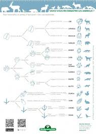 Tout Pour Re Connaitre Les Animaux A La Trace Onf 50 Ans Empreinte Animaux Animaux Cle De Determination