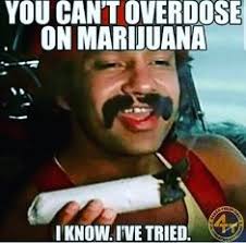 Discover tommy chong famous and rare quotes. 200 Cheech And Chong Ideas In 2021 Cheech And Chong Up In Smoke Dave S Not Here