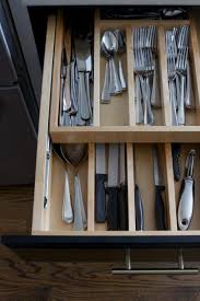 Built In Kitchen Cabinet Organization The Diy Playbook Kitchen Cabinet Organization Kitchen Renovation Diy Kitchen Cabinets