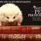 Pet Photoshoot event image