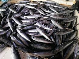 Berikut adalah senarai harga kami yang terbaru ikan masin goreng. Senarai Harga Ikan Di Pasar Lahad Pasar Ikan Lahad Datu Facebook