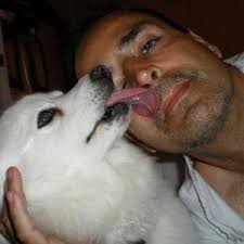 eric celaya (@ldpolland13)