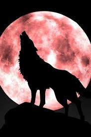 1 Howling Wolf Tumblr Lupo Che Ulula Tatuaggio Lupo Idee Tatuaggio Cane
