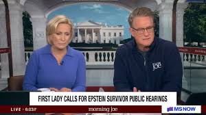 Media pundits left scratching their heads over Melania's 'bizarre' Epstein  press conference