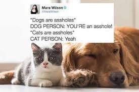 18 Perfect Tweets About Cat People Vs Dog People Dog Memes Cat Vs Dog Cat People Vs Dog People